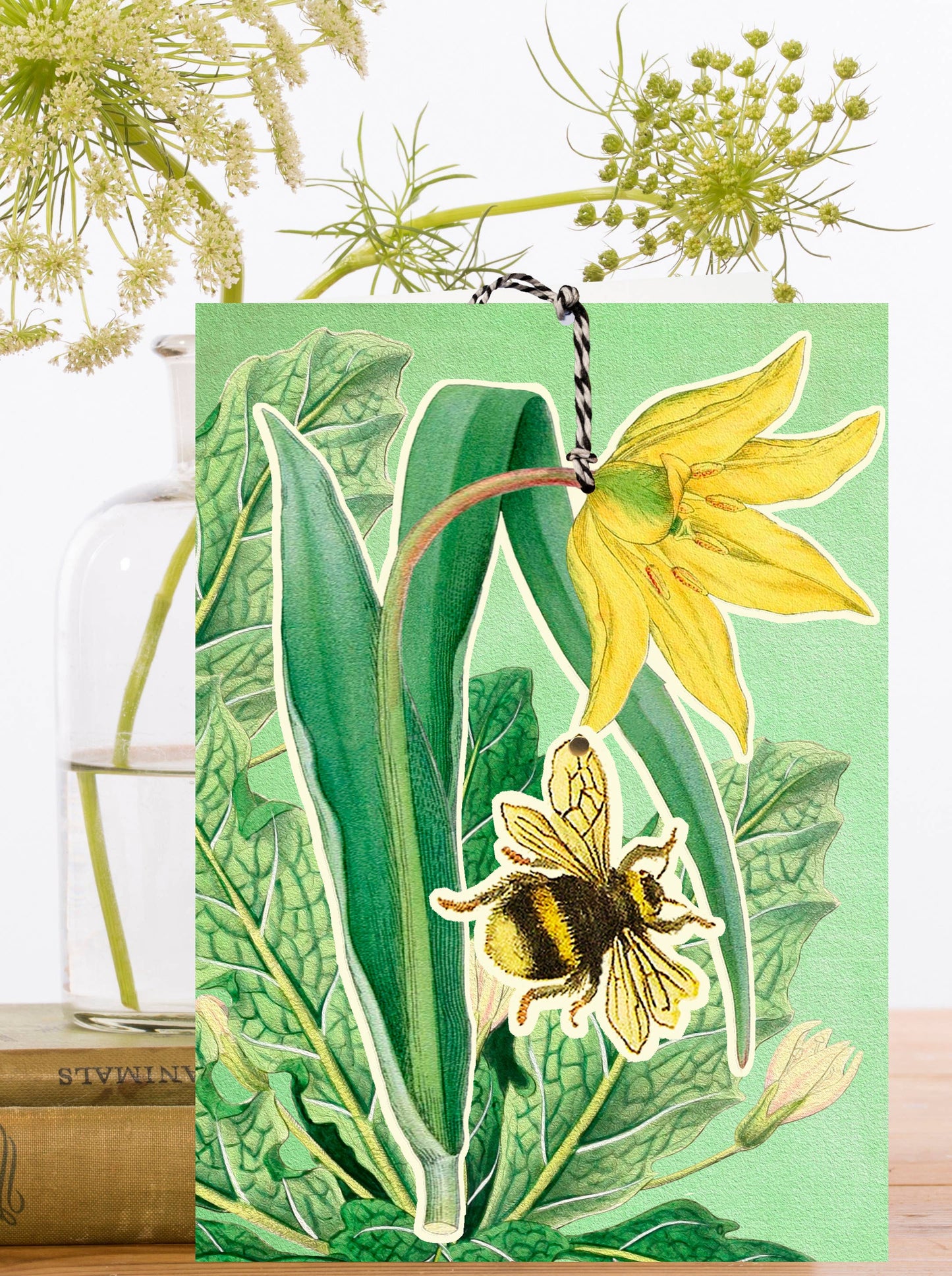 Madame Treacle - FD039P~ Large Fandangle greeting card