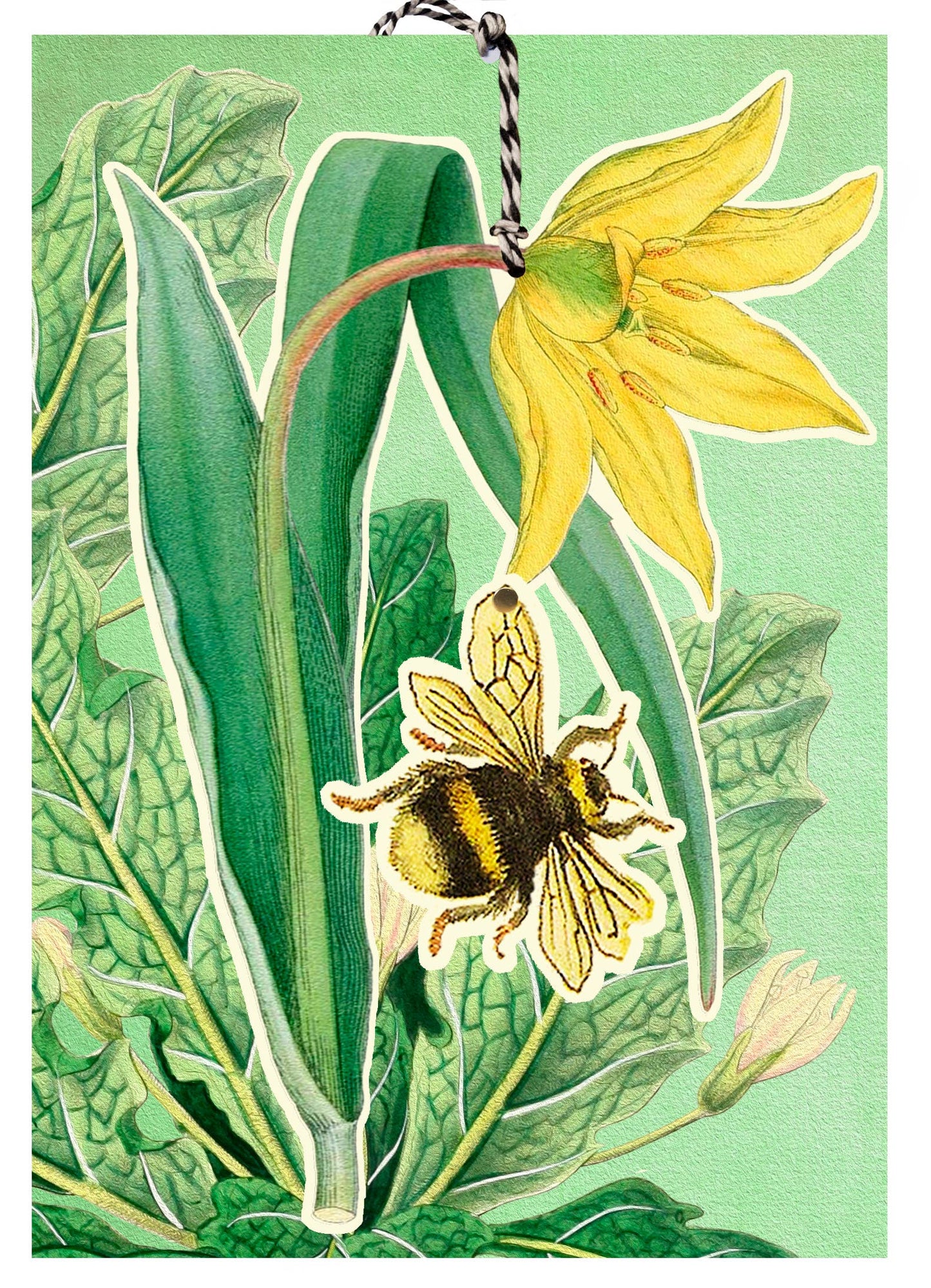 Madame Treacle - FD039P~ Large Fandangle greeting card