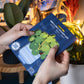 Dapple & Dot - UNKILLABLE CHINESE MONEY PLANT POP OUT CARD: Yes