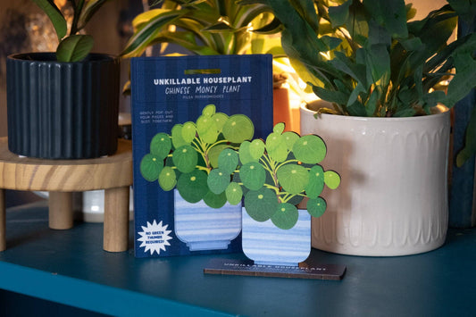 Dapple & Dot - UNKILLABLE CHINESE MONEY PLANT POP OUT CARD: Yes