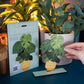Dapple & Dot - UNKILLABLE MONSTERA PLANT POP OUT CARD: Yes