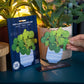 Dapple & Dot - UNKILLABLE CHINESE MONEY PLANT POP OUT CARD: Yes