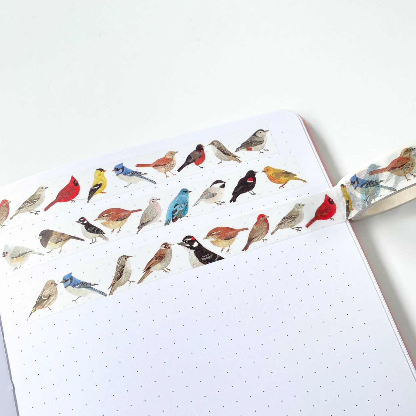 North American Birds Washi Tape