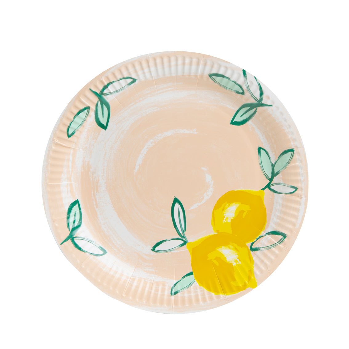 Citrus Fruit Recyclable Paper Plates - 12 Pack