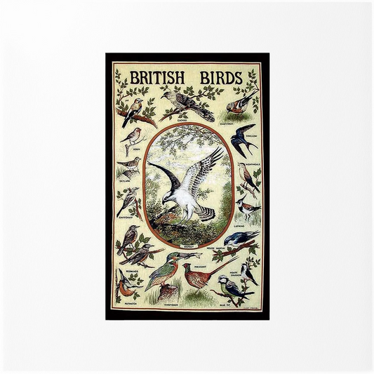 British Birds Tea Towel