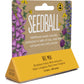Bee Mix - Wild Flower Seed Balls